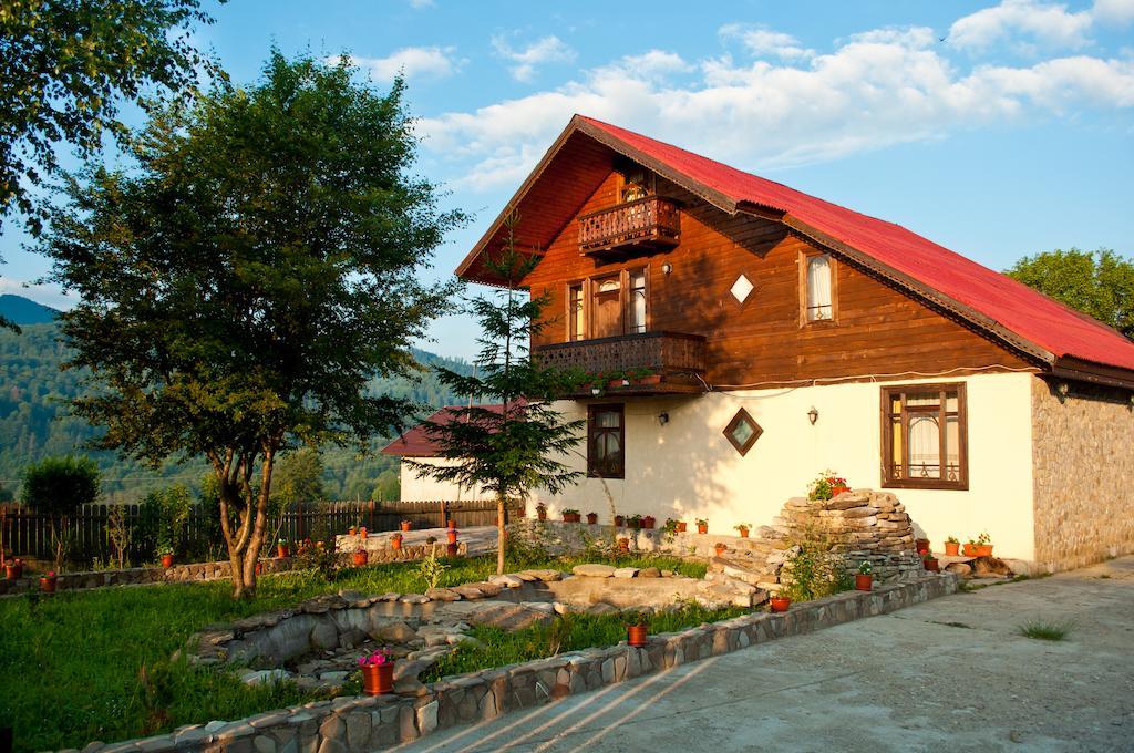 ホテルCasa Lidia Lepşa エクステリア 写真