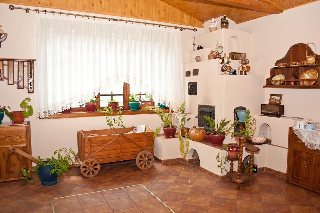 ホテルCasa Lidia Lepşa エクステリア 写真