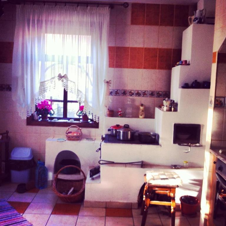 ホテルCasa Lidia Lepşa エクステリア 写真